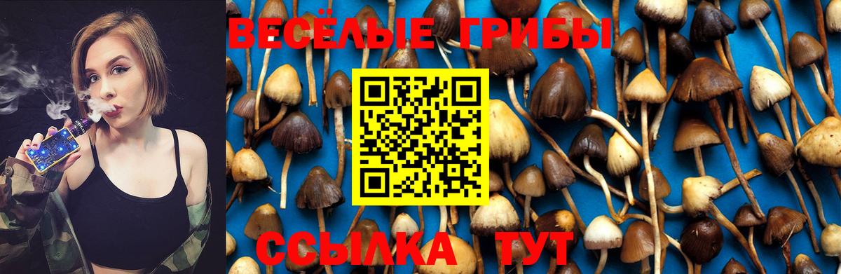 Галлюциногенные грибы Psilocybine cubensis Назрань